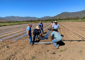 FIA y ADE La Ligua organizan curso para crear una cooperativa