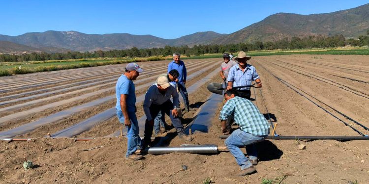 FIA y ADE La Ligua organizan curso para crear una cooperativa