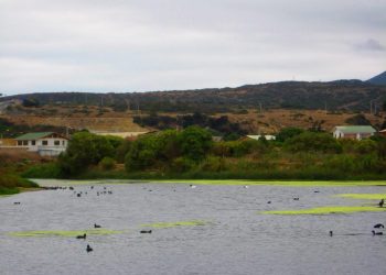 Los Molles: Municipalidad de La Ligua solicita a Medio Ambiente que declare al estuario como humedal urbano