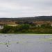 Los Molles: Municipalidad de La Ligua solicita a Medio Ambiente que declare al estuario como humedal urbano