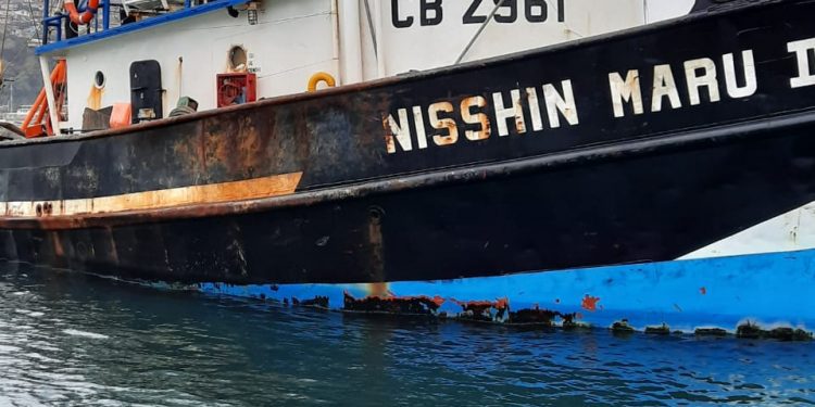 Exigen empatía y altura moral a dirigente nacional tras desaparición de pescador en San Antonio