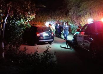 Fiesta clandestina en sector Las Cruces de Olmué termina con ocho detenidos