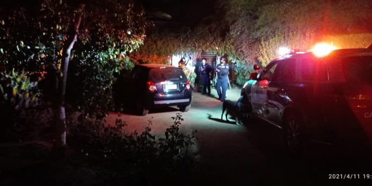 Fiesta clandestina en sector Las Cruces de Olmué termina con ocho detenidos