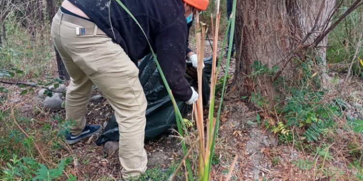 Municipalidad de Quillota denunció ante la Fiscalía brutal caso de maltrato contra un perro