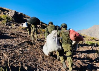 En Llay Llay y Cabildo desbaratan organización dedicada a vender droga a microtraficantes de la Región Metropolitana