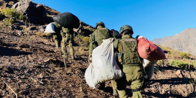 En Llay Llay y Cabildo desbaratan organización dedicada a vender droga a microtraficantes de la Región Metropolitana