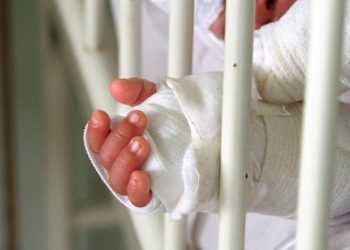 La Ligua: Concejo Municipal aprueba apoyo económico para COANIQUEM