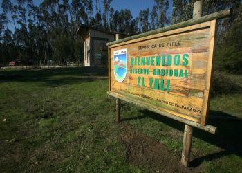 Reserva Nacional El Yali de Santo Domingo fue reabierta este jueves