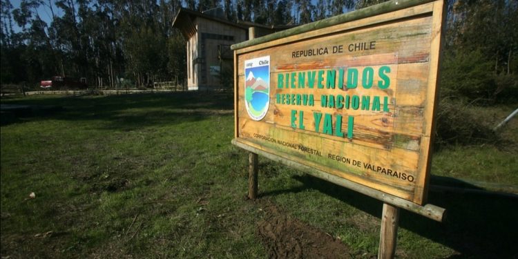 Reserva Nacional El Yali de Santo Domingo fue reabierta este jueves