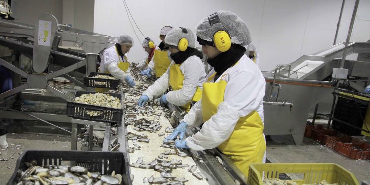 Más de 40 mil trabajadores han postulado al Subsidio al Empleo en la Región de Valparaíso