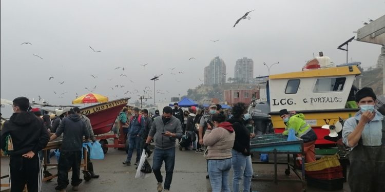 Región de Valparaíso: casos activos de COVID-19 suben un 50% y muertes un 20%