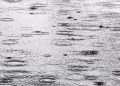 Hoy arriban las lluvias a la zona central: se informa de posibles tormentas eléctricas