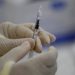 A contar de septiembre Pfizer-BioNTech espera tener vacuna contra el COVID-19 para todos los niños