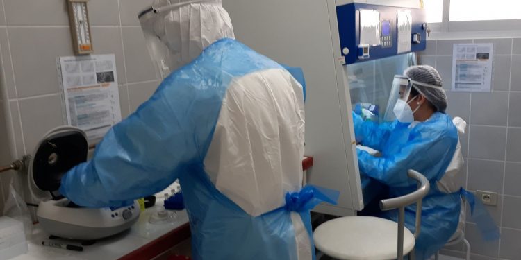 Más de 60 millones de pesos para su funcionamiento recibirá laboratorio COVID UPLA