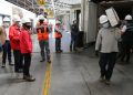 Ingreso de camiones en el Paso Fronterizo Los Libertadores es monitoreado por el Ministerio de Agricultura