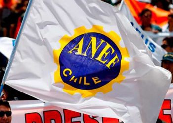 Para contrarrestar Presupuesto Base Cero presidente de ANEF llama a sus dirigentes a exigir información a jefes de servicios públicos