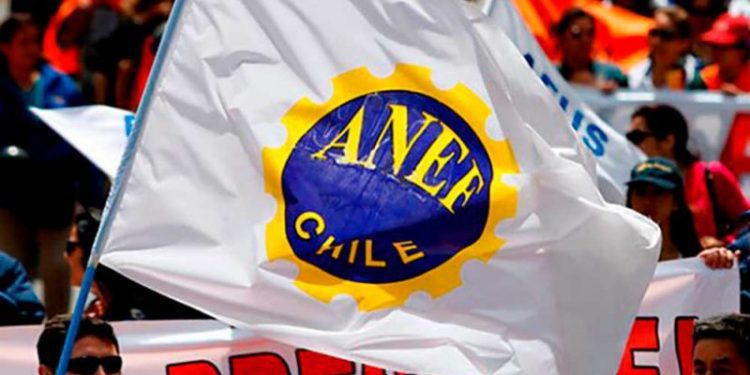 Para contrarrestar Presupuesto Base Cero presidente de ANEF llama a sus dirigentes a exigir información a jefes de servicios públicos