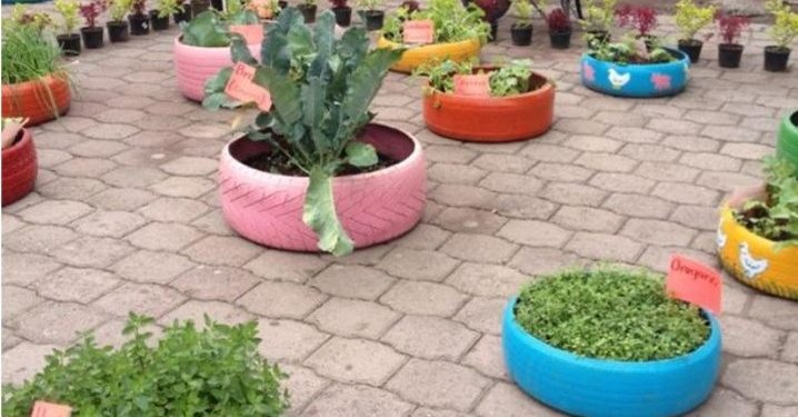 Viña del Mar: uso de “huertos familiares” es promovido por Escuela Popular de Artes de Achupallas