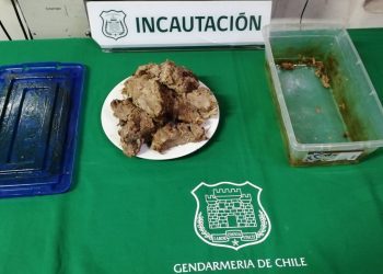 Decomisan resina de marihuana en cárcel de Los Andes