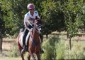 Primera medalla de un chileno en un Mundial de enduro ecuestre es conseguida por jinete Boni Viada