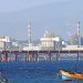 Comité Científico Asesor para proteger bahía de Quintero tendrá entre sus miembros a director del HUB Ambiental UPLA