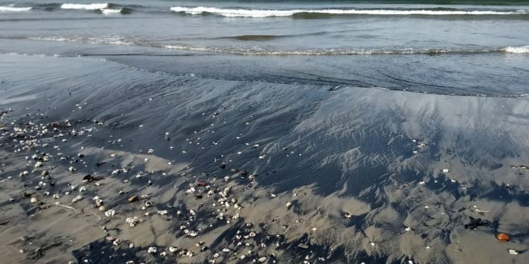 Varamiento de carbón: estudio de la Armada relaciona el fenómeno a empresa AES-Gener