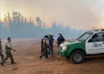 Detuvieron a hombre por su eventual participación en inicio de incendio forestal que afectó a Reserva Lago Peñuelas