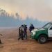 Detuvieron a hombre por su eventual participación en inicio de incendio forestal que afectó a Reserva Lago Peñuelas