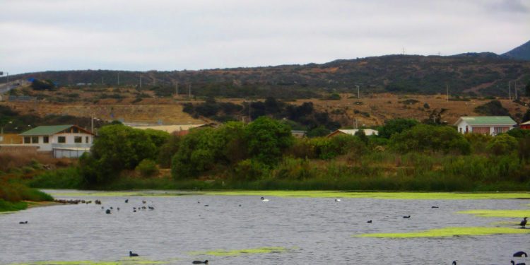 Ministerio de Medio Ambiente acoge petición de Municipalidad de La Ligua para declarar humedal urbano el estuario de Los Molles