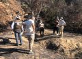 Vecinos y autoridades inician trabajo conjunto para reforestar zona afectada por incendio en Quilpué