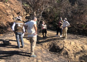 Vecinos y autoridades inician trabajo conjunto para reforestar zona afectada por incendio en Quilpué