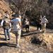 Vecinos y autoridades inician trabajo conjunto para reforestar zona afectada por incendio en Quilpué