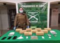La Ligua: incautan casi 9 kilos de droga desde maleta durante control vehicular en Ruta 5 Norte