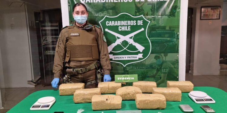 La Ligua: incautan casi 9 kilos de droga desde maleta durante control vehicular en Ruta 5 Norte