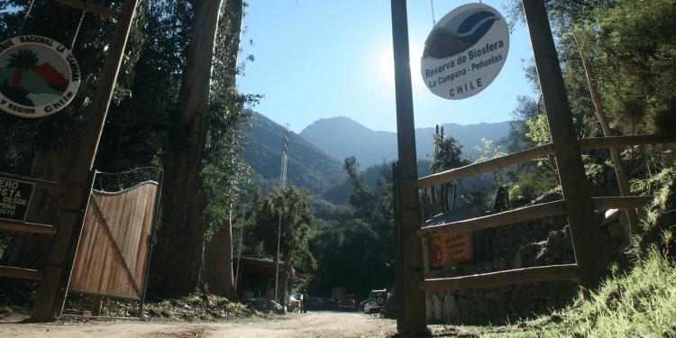 Olmué: tres personas ingresaron de forma ilícita al Parque Nacional La Campana