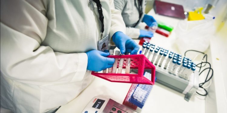 Opinión / Cortocircuito epidémico