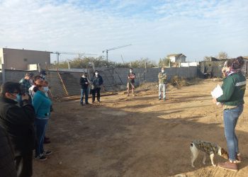 Quilpué: Conaf enseña técnicas de silvicultura preventiva a vecinos del sector Teniente Serrano