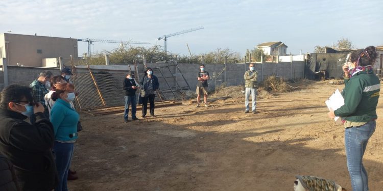 Quilpué: Conaf enseña técnicas de silvicultura preventiva a vecinos del sector Teniente Serrano