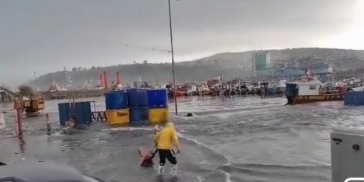 Fuertes marejadas: agua llegó hasta el terminal pesquero de San Antonio