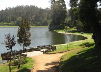 20 años de presidio para acusado de violación y abuso sexual en Laguna Sausalito de Viña del Mar