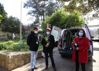 Cientos de árboles nativos recibió la Municipalidad de Valparaíso de parte de Chilquinta Energía