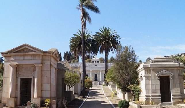 Denuncian comercio ilícito de piezas dentales de cadáveres en cementerio de Viña del Mar