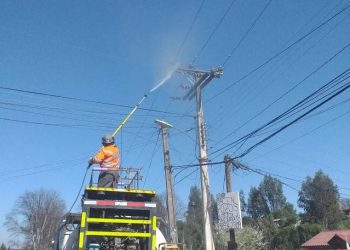 Más de 13 mil estructuras eléctricas en la provincia de Petorca reciben mantenimiento por parte de CGE