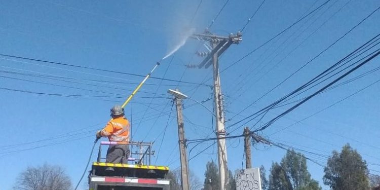 Más de 13 mil estructuras eléctricas en la provincia de Petorca reciben mantenimiento por parte de CGE