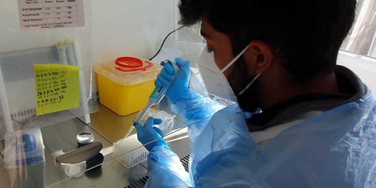 A través de muestra de saliva ahora se puede detectar el COVID-19 en Laboratorio Molecular de SaludQuillota