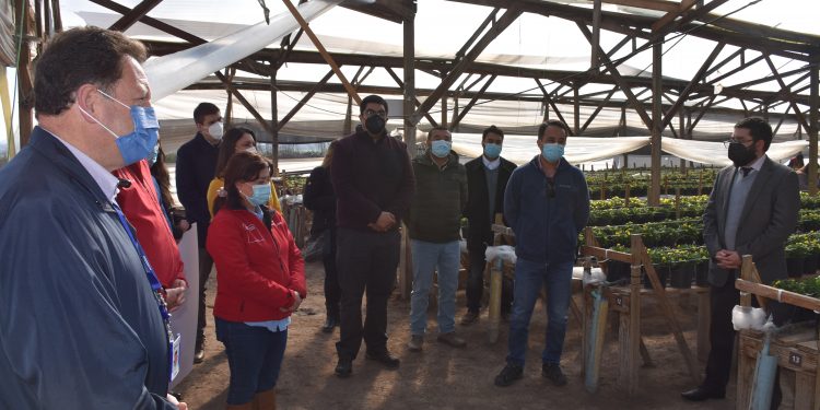 Con hito en la provincia de Quillota destacan que se han entregado sobre 50 mil subsidios al empleo en la Región de Valparaíso