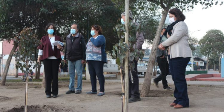 Dirigentes vecinales de Poblaciones San Felipe y Parrasía plantean inquietudes de su sector a alcaldesa Carmen Castillo