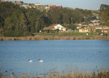 Santuario de la Naturaleza Laguna El Peral de El Tabo reabre sus puertas al público