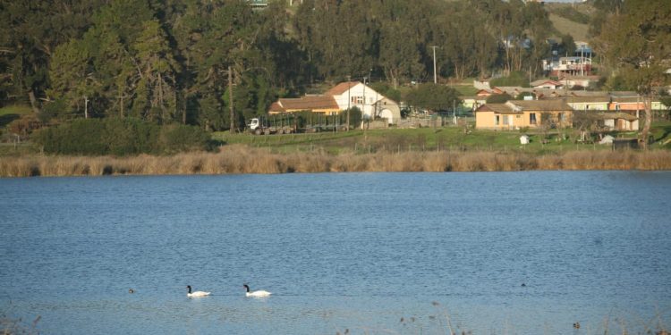 Santuario de la Naturaleza Laguna El Peral de El Tabo reabre sus puertas al público