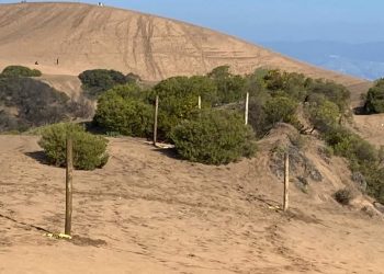 Concón: solicitarán informe al SMA tras intervención de empresa en campo dunar